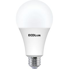 Ecolum Bulb